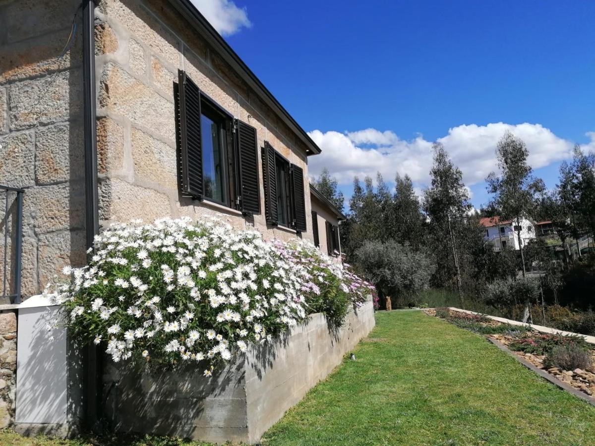 Casa dos Matos Ponte de Lima Exterior foto