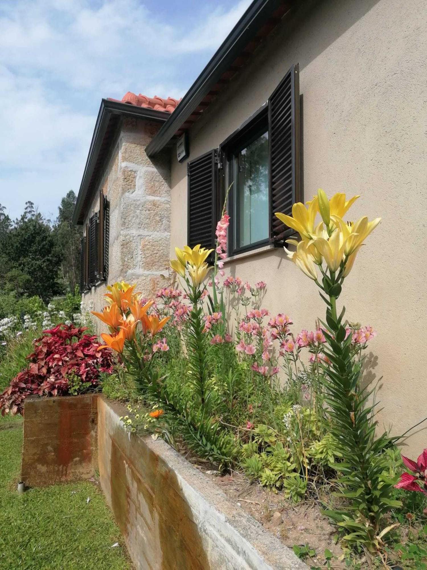 Casa dos Matos Ponte de Lima Exterior foto