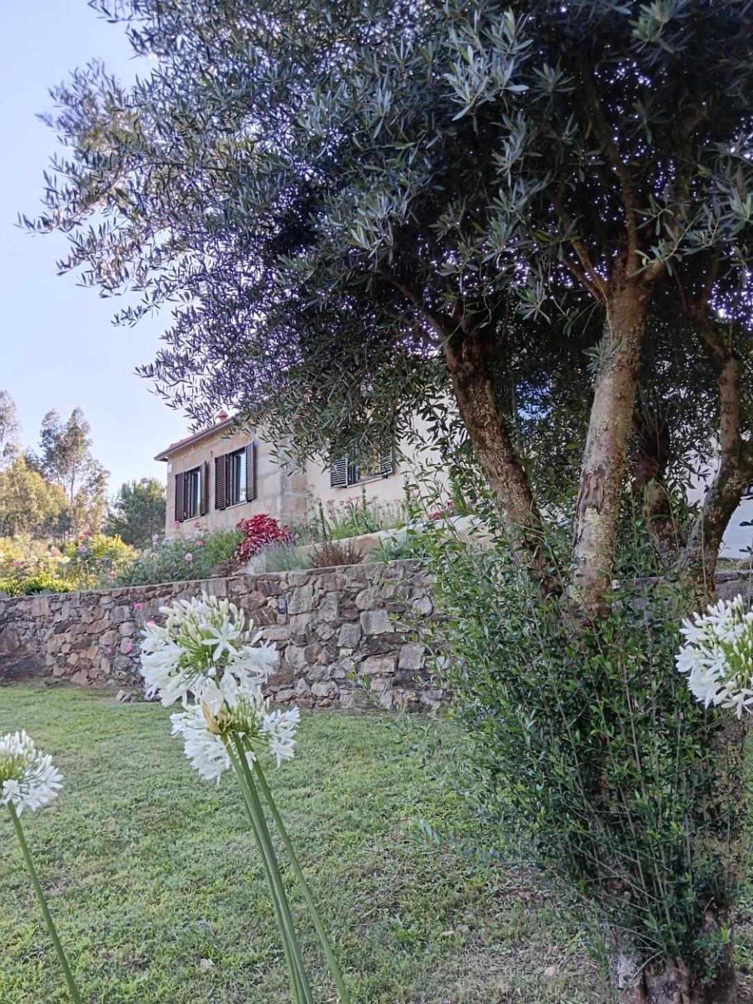 Casa dos Matos Ponte de Lima Exterior foto